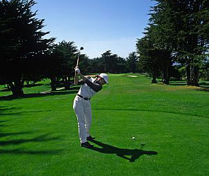 В элитном гольф-клубе найден труп на дереве В элитном гольф-клубе найден труп на дереве