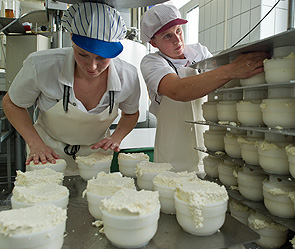 Россия запретила украинские сыры Россия запретила украинские сыры