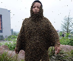 Китаец посадил на себя полумиллиона пчел Китаец посадил на себя полумиллиона пчел