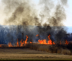 В горящем Забайкалье ввели режим ЧС В горящем Забайкалье ввели режим ЧС