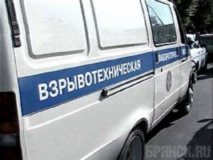 В Бежицком районе Брянска взорвалась граната