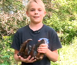 Ребенок нашел в ручье зуб мастодонта Ребенок нашел в ручье зуб мастодонта