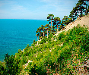 На Кубани откроют заповедник "Фанагория" На Кубани откроют заповедник "Фанагория"