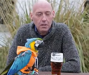 Попугай танцует рок-н-ролл и пьет пиво Попугай танцует рок-н-ролл и пьет пиво