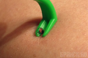 Клещи атакуют