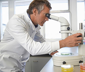 Ученые научились лечить мужское бесплодие Ученые научились лечить мужское бесплодие