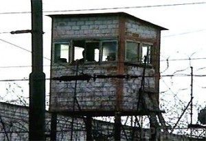 Карьера брянского наркодилера оказалась недолгой