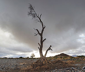 Изменение климата ударит по экономике Изменение климата ударит по экономике