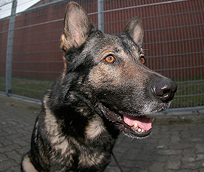 Американец требует сумму с 36 нолями Американец требует сумму с 36 нолями