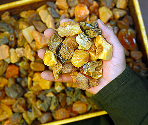 Найден тайник янтаря на 87 миллионов Найден тайник янтаря на 87 миллионов