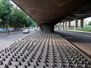 Британские власти отпугивают бродяг шипами Британские власти отпугивают бродяг шипами