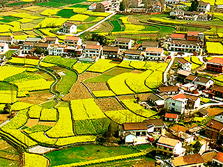Названы лучшие города для семейной жизни Названы лучшие города для семейной жизни