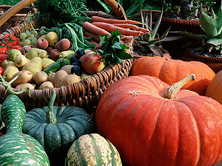 Яценюк разжигает аграрный конфликт Яценюк разжигает аграрный конфликт