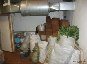 Вынесен приговор брянским наркодельцам