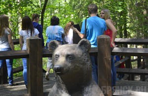 В заповеднике «Брянский лес» ожидается пополнение