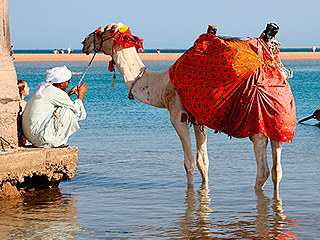 Названа любимая страна для отдыха россиян Названа любимая страна для отдыха россиян