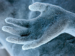 Ученый заморозит себя на 150 лет Ученый заморозит себя на 150 лет