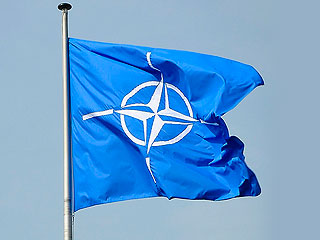 Грузии откажут в членстве в НАТО Грузии откажут в членстве в НАТО