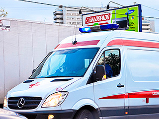 Врачи спасают укушенную медведем девочку Врачи спасают укушенную медведем девочку