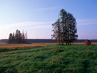 Россиянам хотят бесплатно раздать землю Россиянам хотят бесплатно раздать землю