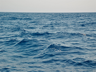 Экипаж корабля стал заложником на Волге Экипаж корабля стал заложником на Волге