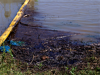 В Приморье обнаружено нефтяное пятно В Приморье обнаружено нефтяное пятно