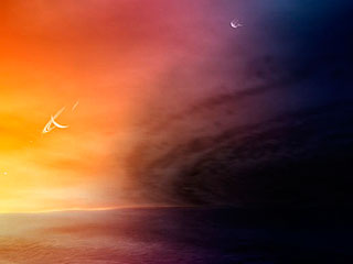 Найдена обитаемая планета Найдена обитаемая планета