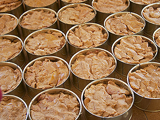 Индия ввела запрет на импорт фуа-гра Индия ввела запрет на импорт фуа-гра