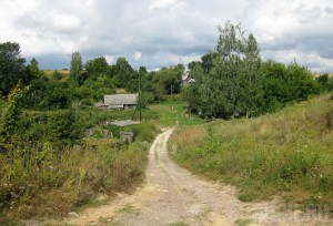 В Городском выставочном зале откроется фотовыставка «Солнцецвет»
