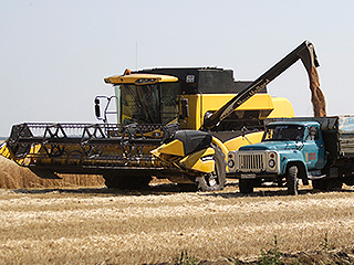 ОНФ взялся за сельское хозяйство ОНФ взялся за сельское хозяйство