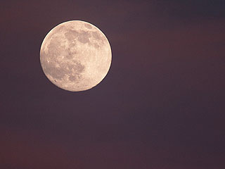 Землян ждет суперлуние Землян ждет суперлуние