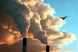 МУП «Брасововодоканал» и ЗАО «Конный завод «Локотской» загрязняли атмосферный воздух незаконно