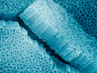 В России создали материал мечты В России создали материал мечты