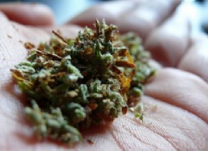 В Краснодарском крае задержан житель Брянска, перевозивший наркотики