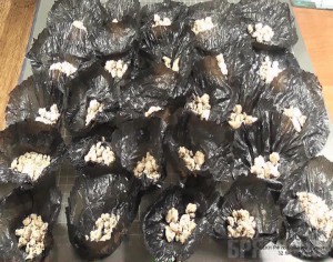 Гражданка Таджикистана приторговывала героином в Брянске