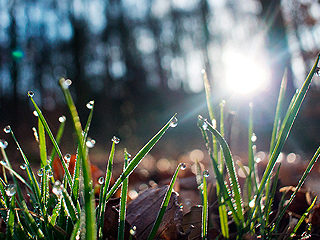 Мобильный телефон можно зарядить росой Мобильный телефон можно зарядить росой