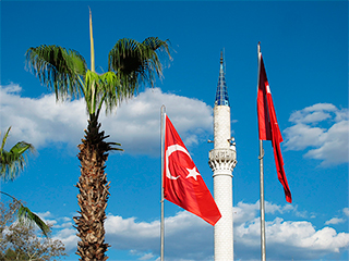 Турция создаст зону свободной торговли с ТС Турция создаст зону свободной торговли с ТС