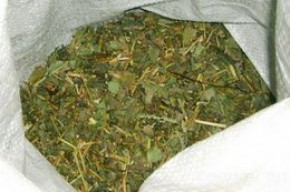 У безработного жителя Трубчевского района дома нашли маковую солому