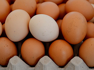 Россия проследит за американскими яйцами Россия проследит за американскими яйцами