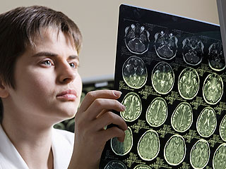 Ученые опровергли миф о возможностях мозга Ученые опровергли миф о возможностях мозга