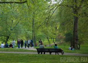 В Есенинском лесу появится благоустроенный парк