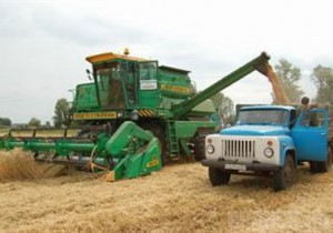 В Брянской области планируется собрать около 800 тысяч тонн зерна