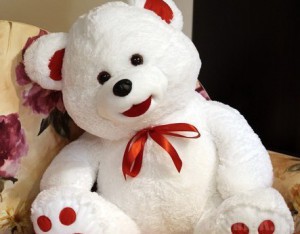 Уголовник похитил из магазина в Брянске плюшевого медведя