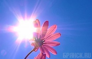 Осторожно, жара тридцать градусов!