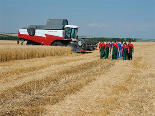Минсельхоз не знает, что творится в отрасли Минсельхоз не знает, что творится в отрасли