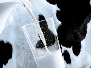 Россия запретила украинское молоко Россия запретила украинское молоко