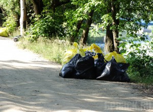 Брянские волонтеры очистили берег Десны в районе Набережной