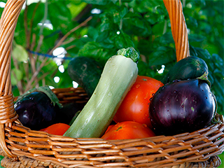 Россия откажется от польских овощей Россия откажется от польских овощей