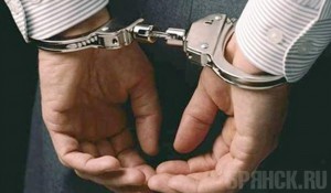 Предприниматель, укравший у брянцев более 220 миллионов, сядет в тюрьму