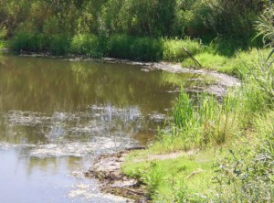 На озере в Унече утонул 10-летний мальчик